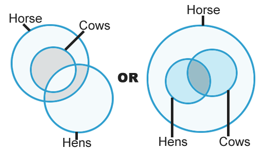 Syllogisms mcq Solutions6